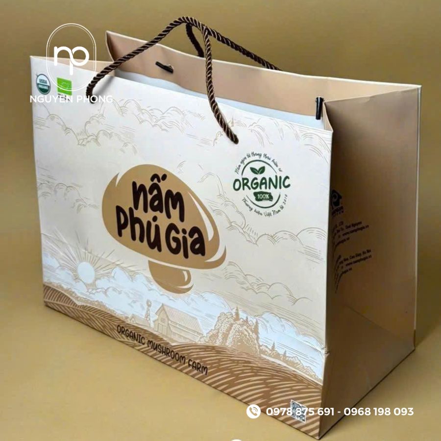 Mẫu in túi giấy